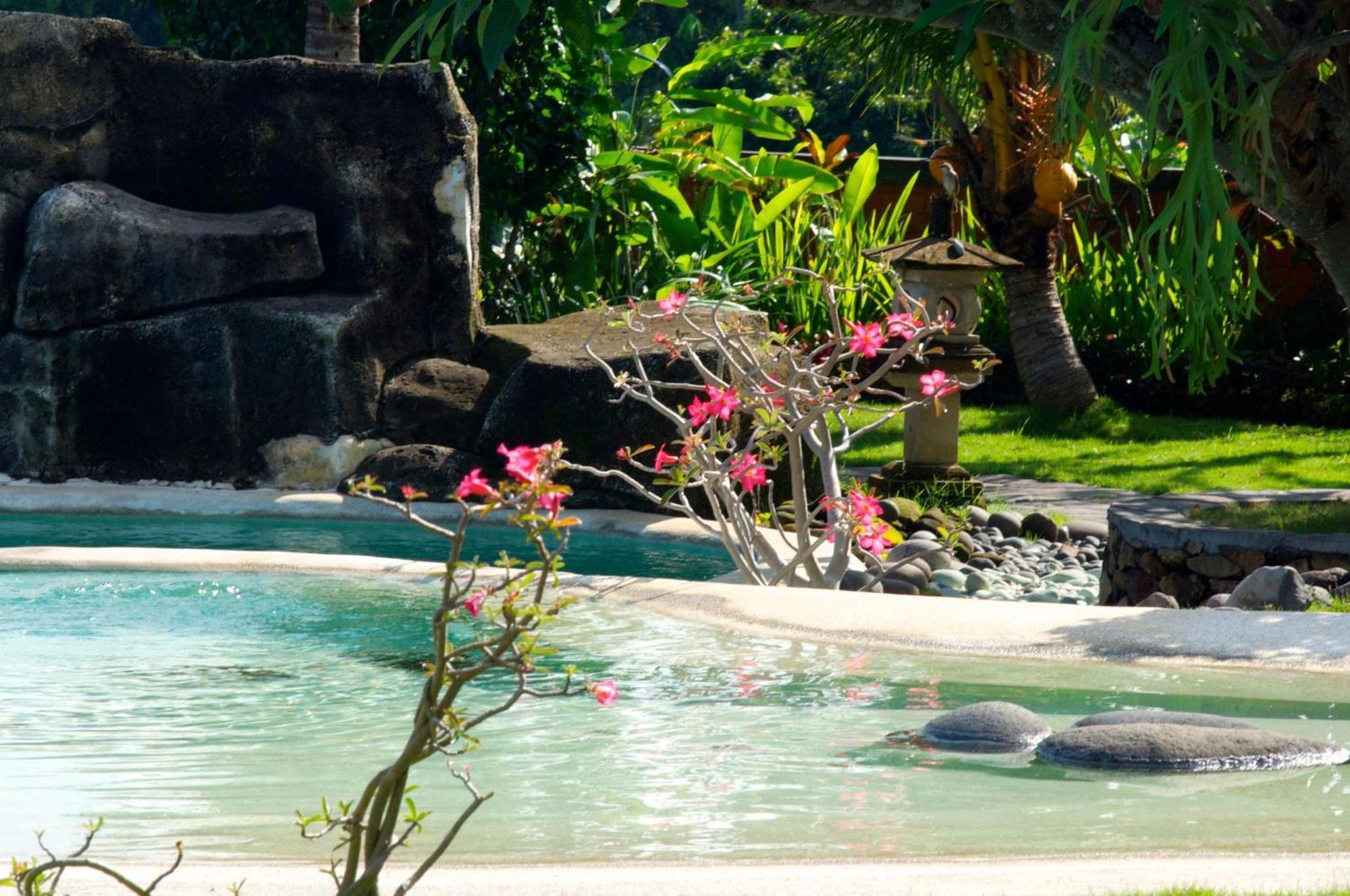 Villa Bali Pondok Jepang 러비나 외부 사진